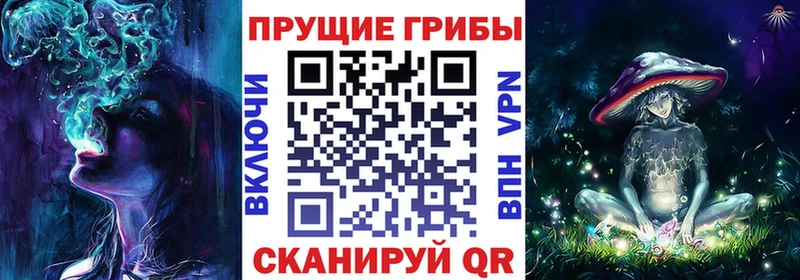 Купить закладки  Судак  Галлюциногенные грибы ЛСД 